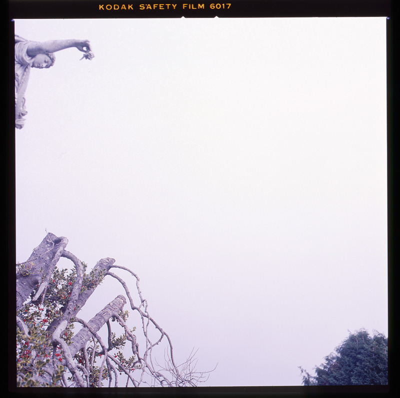morose_series2.5