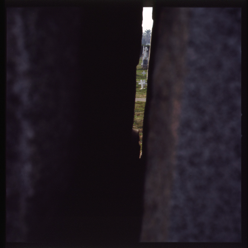 morose_series2.6