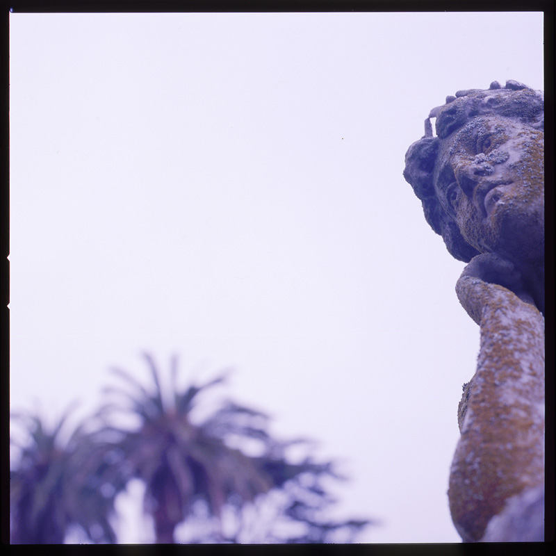 morose_series3.2