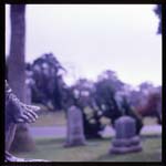 morose_4.1