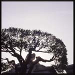 morose_series1.3