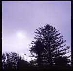morose_series1.4