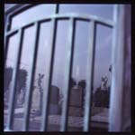 morose_series1.5