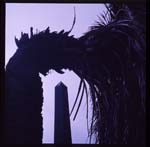 morose_series1.6