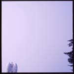 morose_series2.1