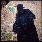 morose_series2.2