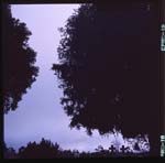 morose_series2.3