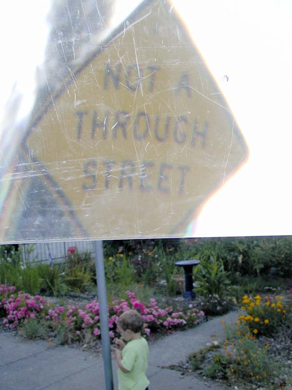 P6020036alt