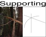 Supportingwork8.10