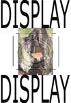 displayRaster