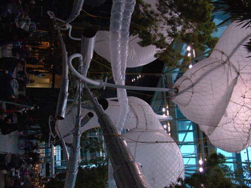 DSC01142