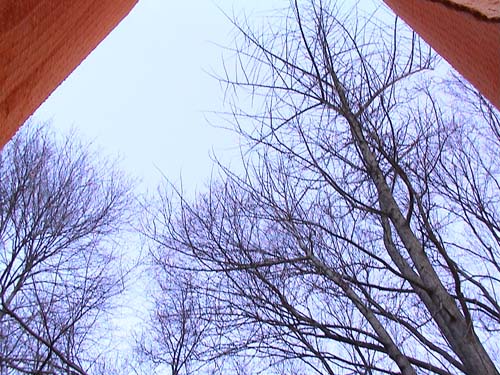 DSC00066