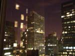 DSC01050