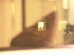 DSC01186