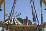 _MG_2341
