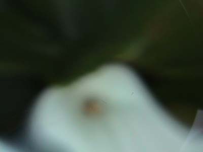 DSC00043