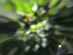 DSC00027