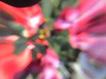 DSC00030