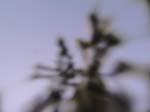 DSC00034