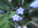 DSC00035
