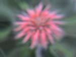 DSC00036