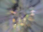 DSC00040
