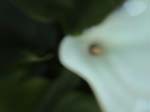 DSC00042