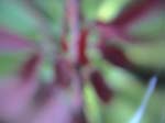 DSC00044