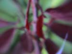 DSC00045