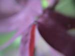 DSC00046
