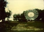 Untitled38
