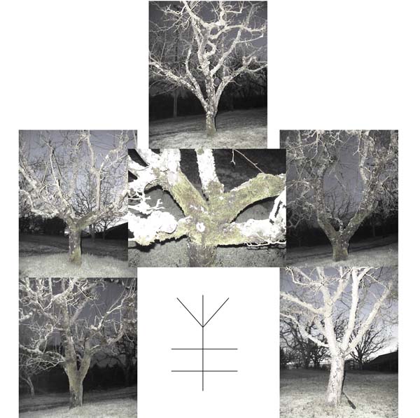 TREES8.10